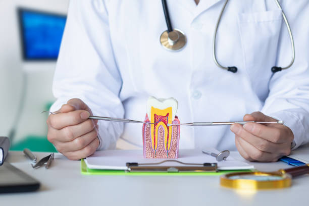 Best Emergency Dentist for Knocked-Out Tooth in Mcgregor, TX